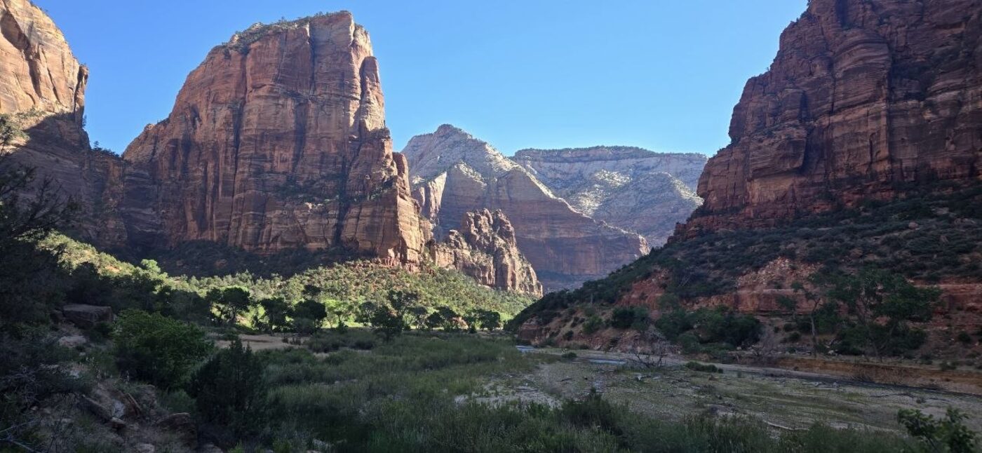 Angels Landing rising from the green floor of Zion Canyon, seen from the valley below
