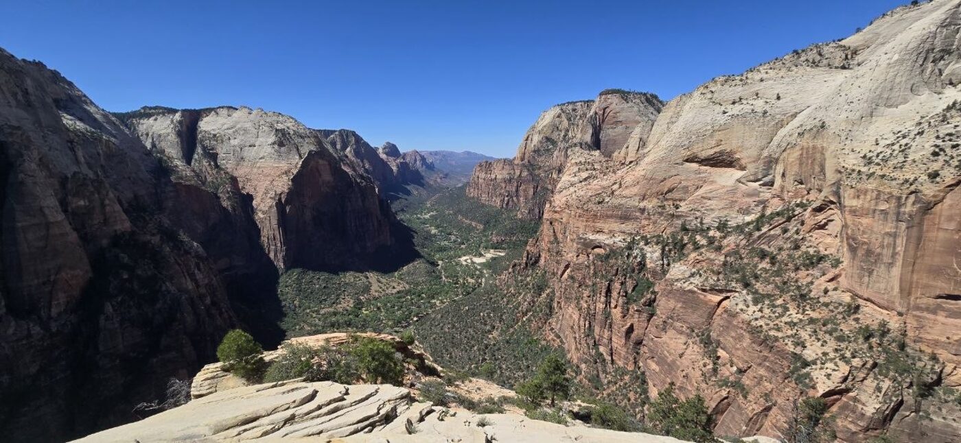 Zion Canyon stretching out from the summit of Angels Landing