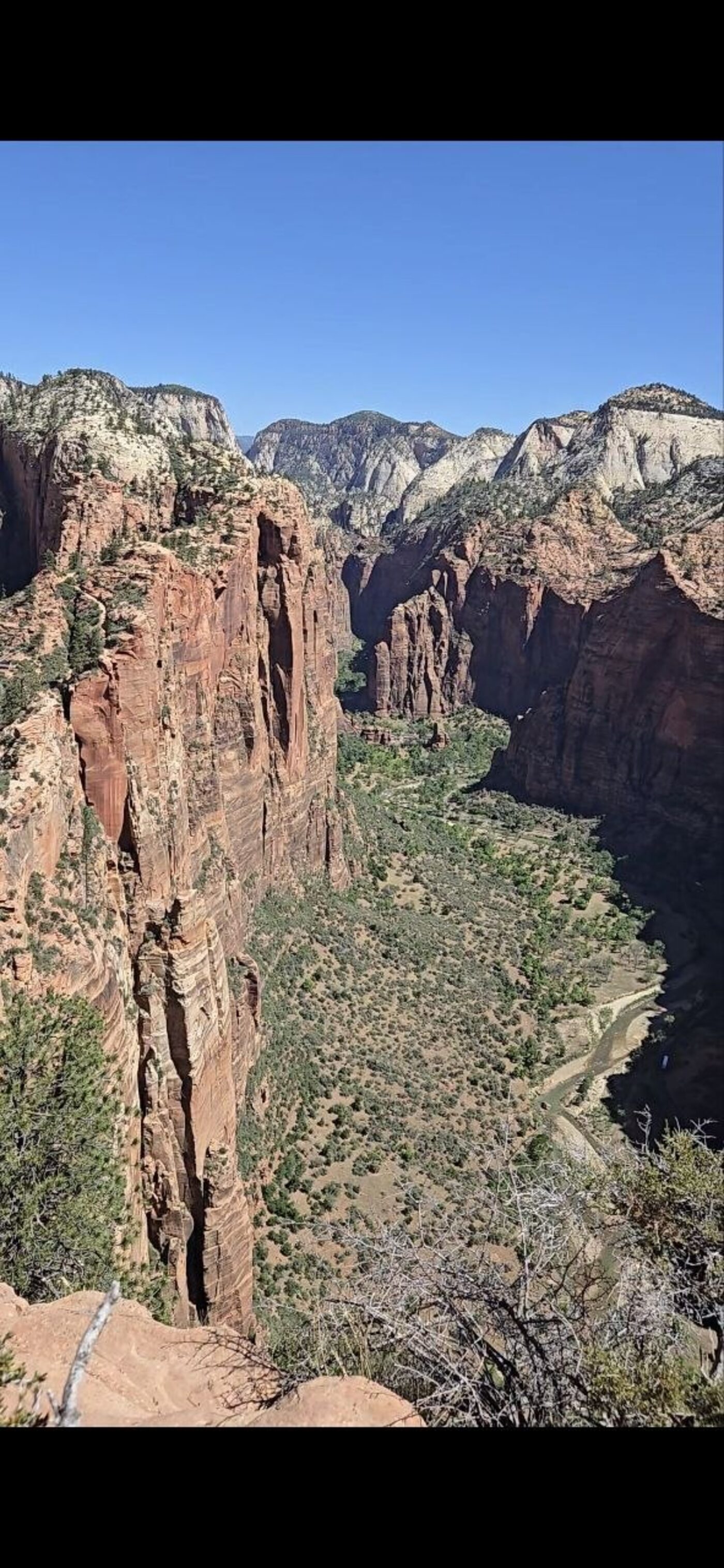 A straight-down view to the canyon floor from the Angels Landing spine