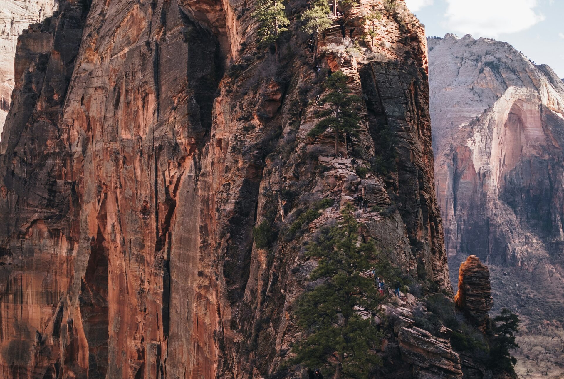 Hiking Angels Landing: A First-Hand Guide to Zion's Most Thrilling Trail