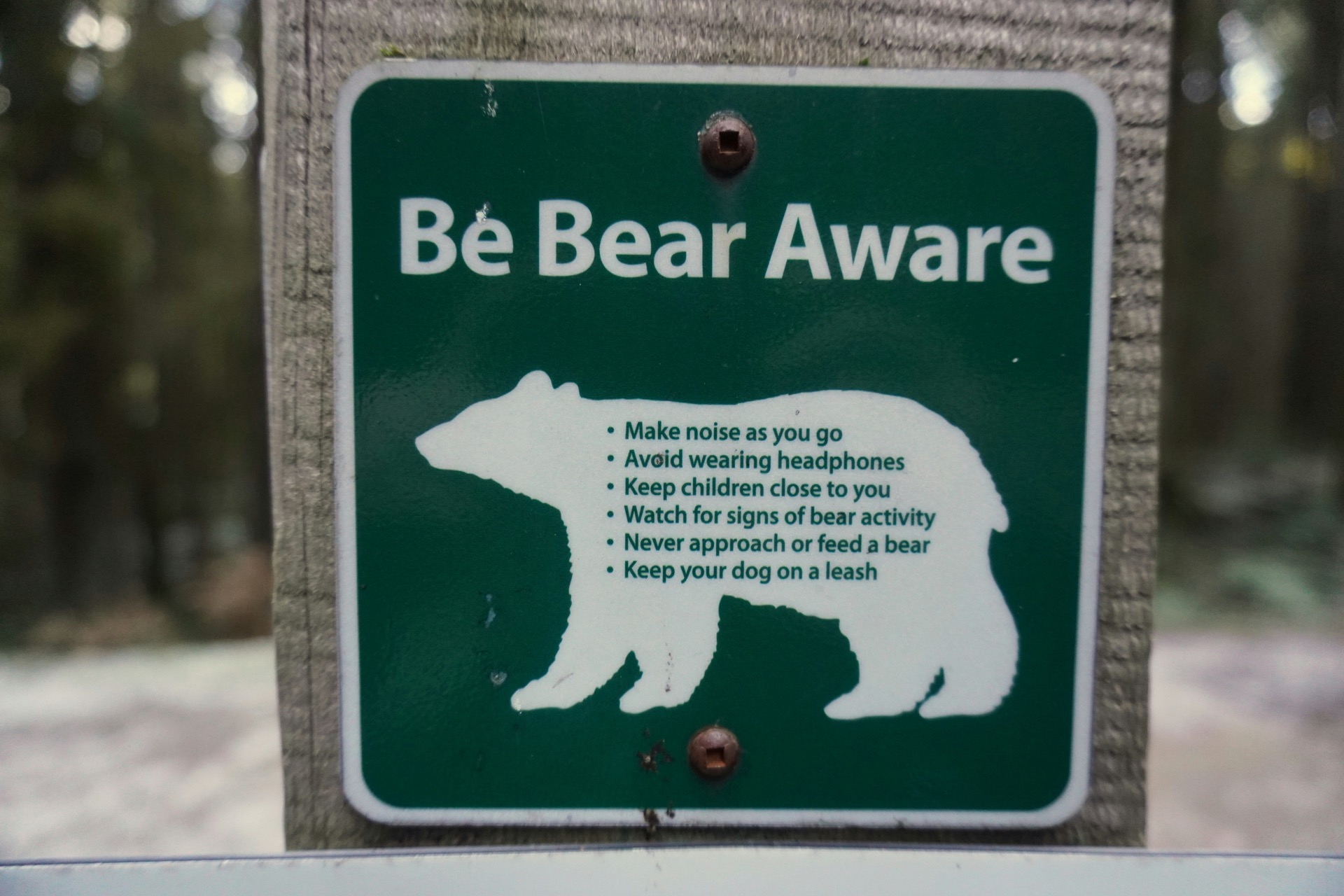 Best Bear Canisters of 2026 — Compared by Weight, Capacity & Price