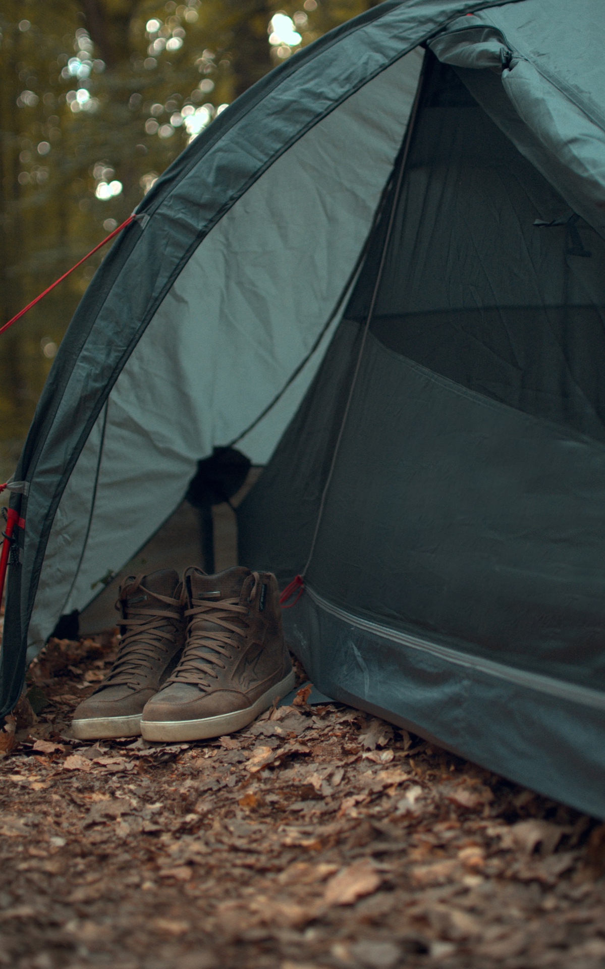 How to Hang a Bear Bag — The PCT Method and Alternatives Explained