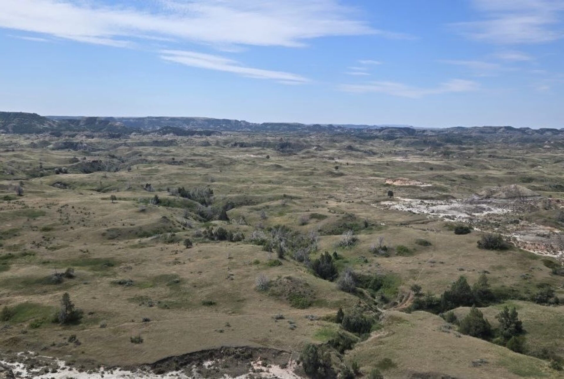 Boicourt Trail: A First-Hand Guide to the South Unit's Best Quick Stop