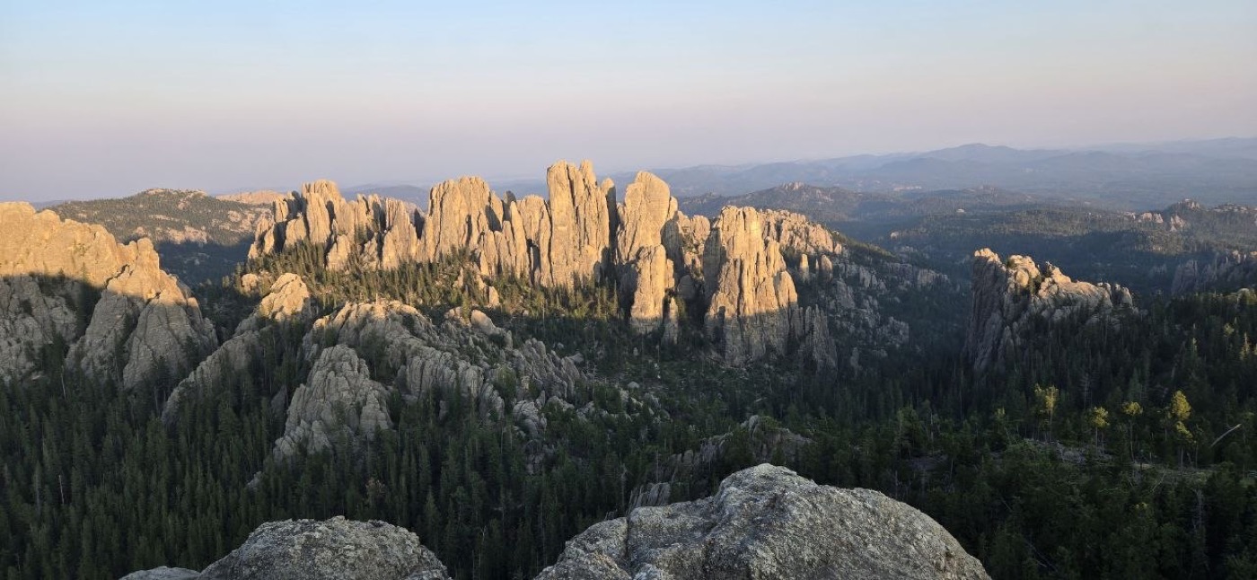 Golden sunset light on the Cathedral Spires granite formations rising above the forest