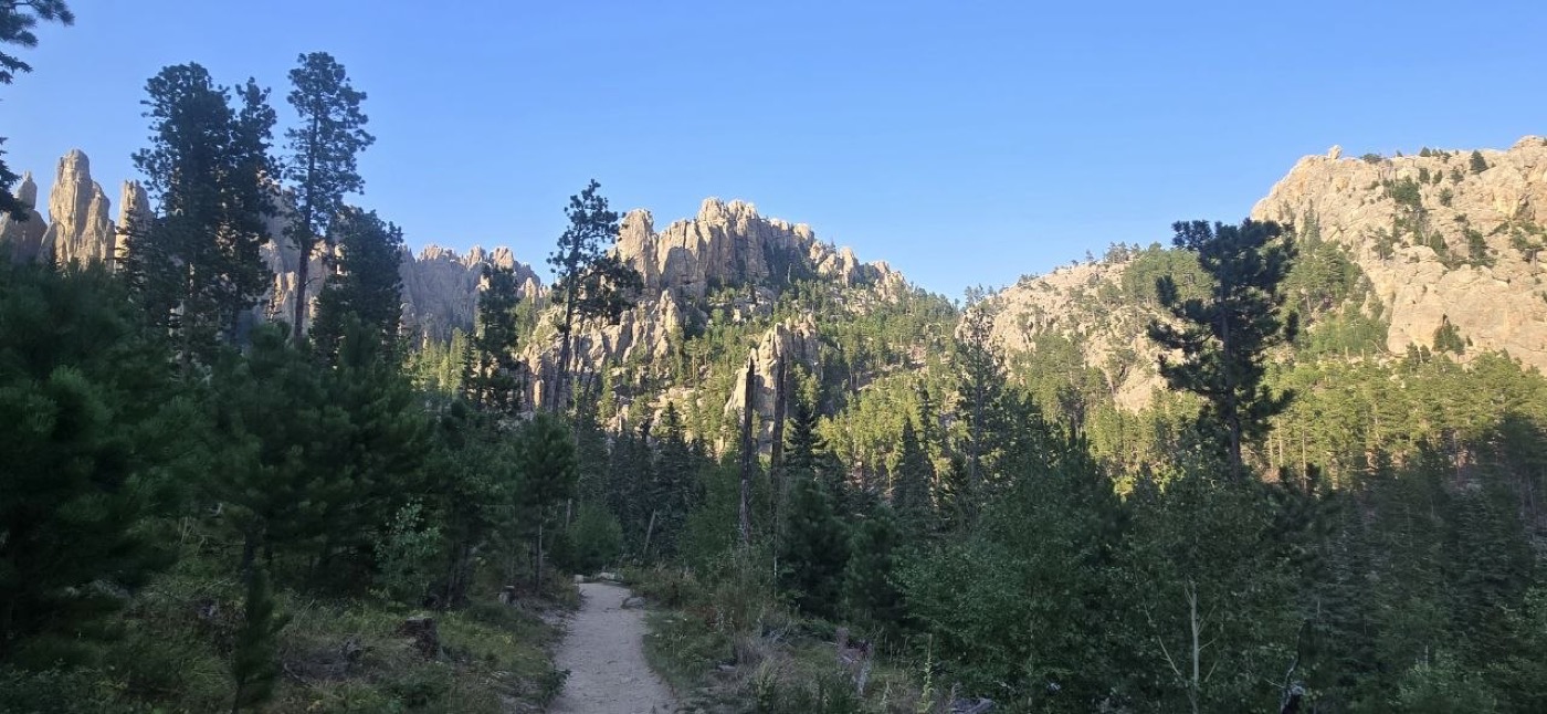 A wide dirt trail leading through pine forest toward the Cathedral Spires formation