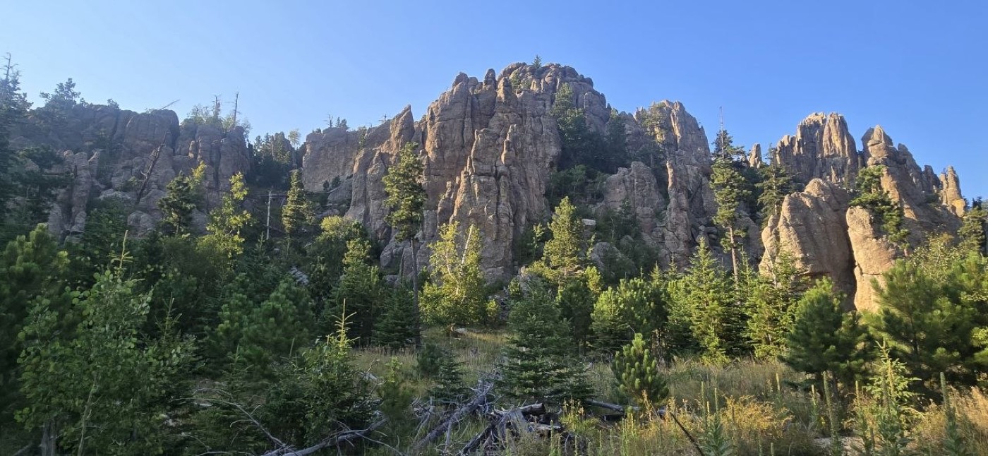 Looking up at the Cathedral Spires granite formation from the trail below, backlit by blue sky
