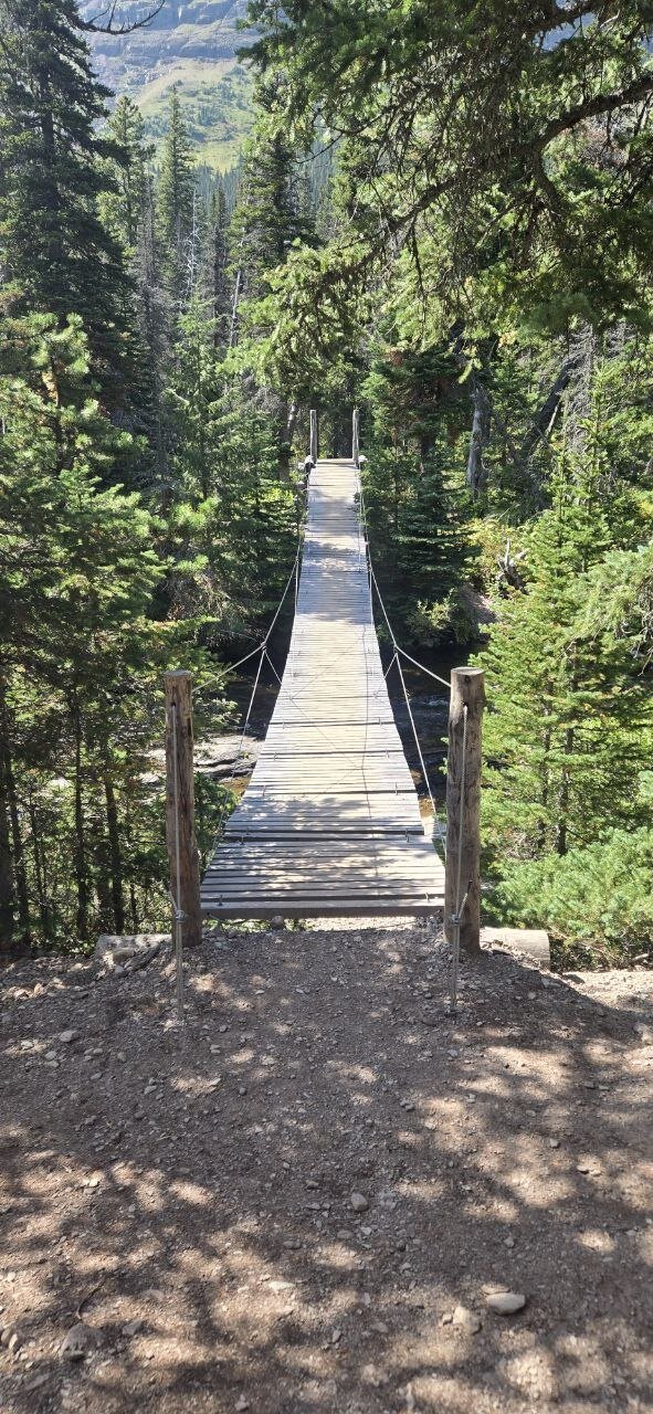 A wooden suspension bridge crossing a creek on the Cobalt Lake Trail in Glacier National Park.