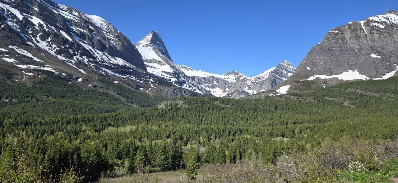 The Emotional Side of Hiking (And Why It's So Good For You)