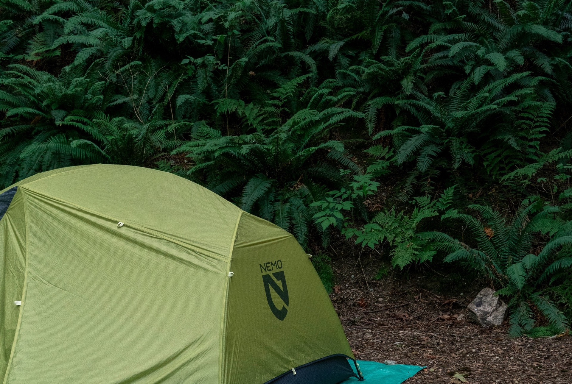 Freestanding vs Non-Freestanding Tents: Which Should You Buy?