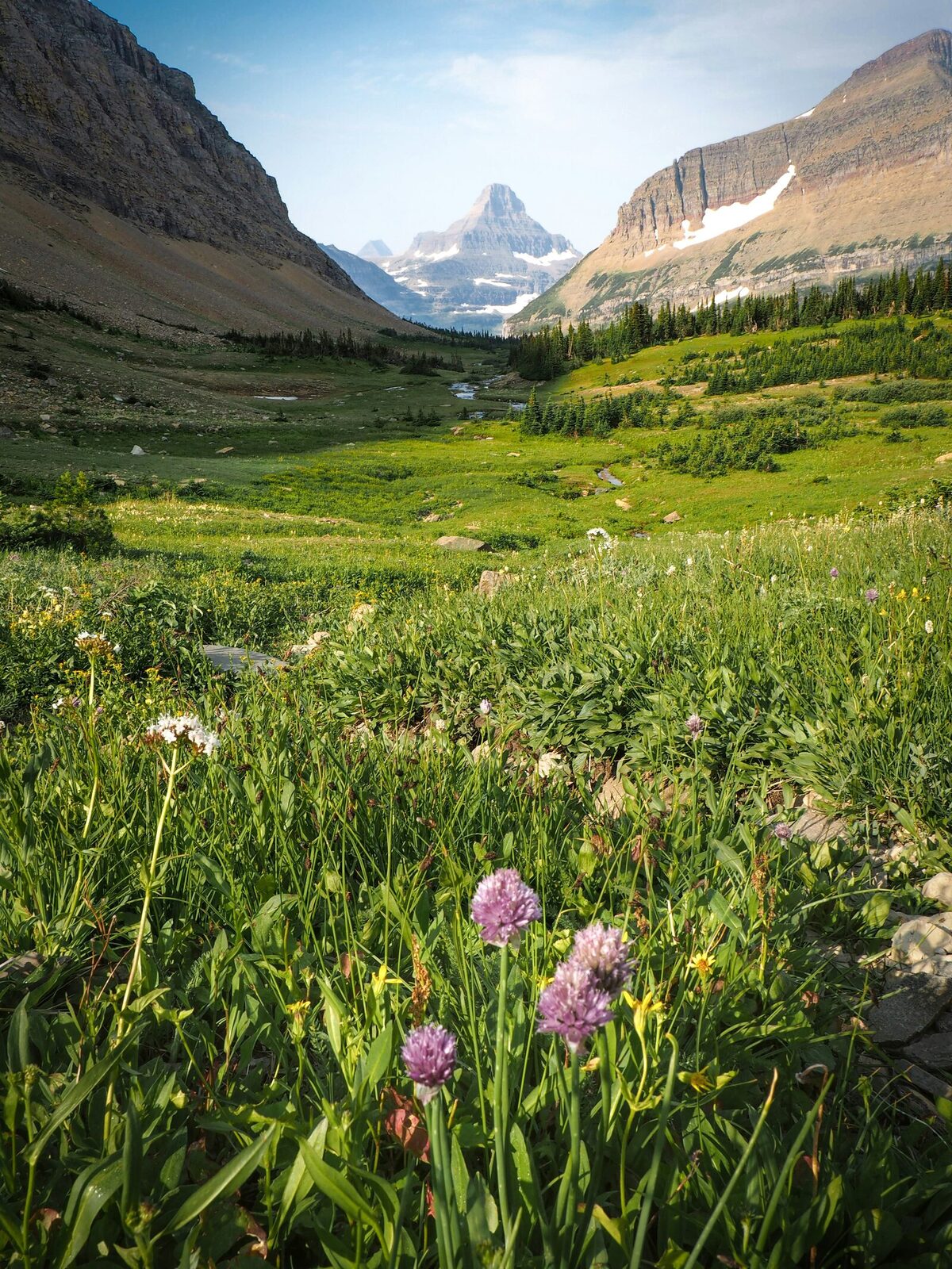 Wildflower meadow and glacier-carved peaks in Glacier National Park&rsquo;s high country