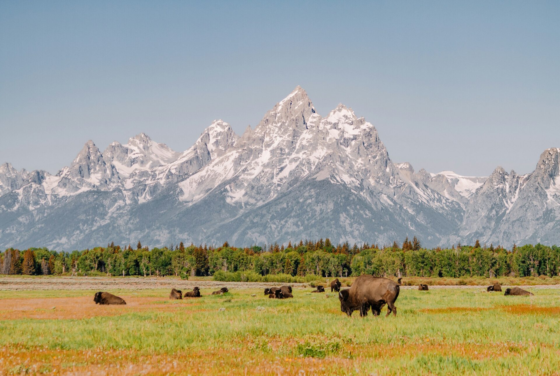Grand Teton National Park: Best-Kept Secrets & Must-See Spots