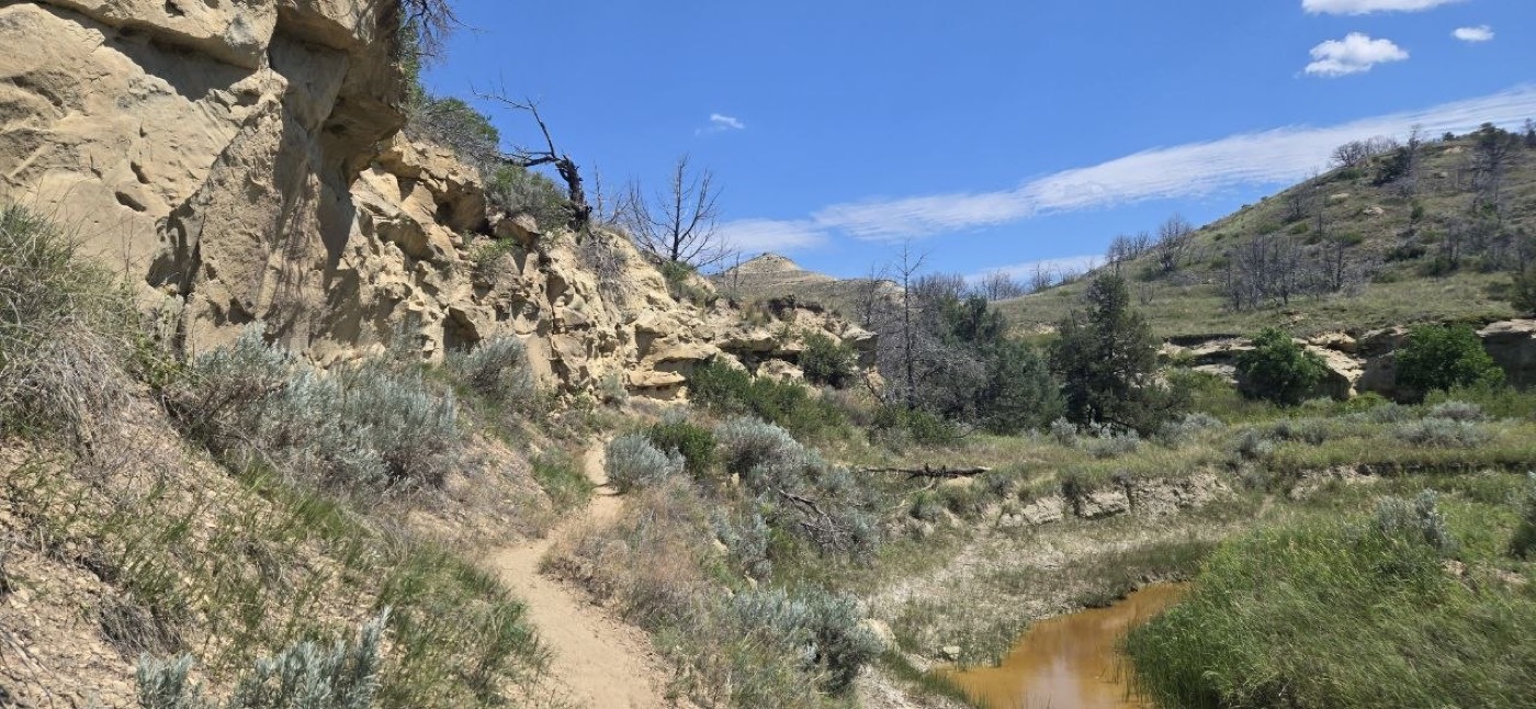 The trail winding along Paddock Creek beneath eroded sandstone walls