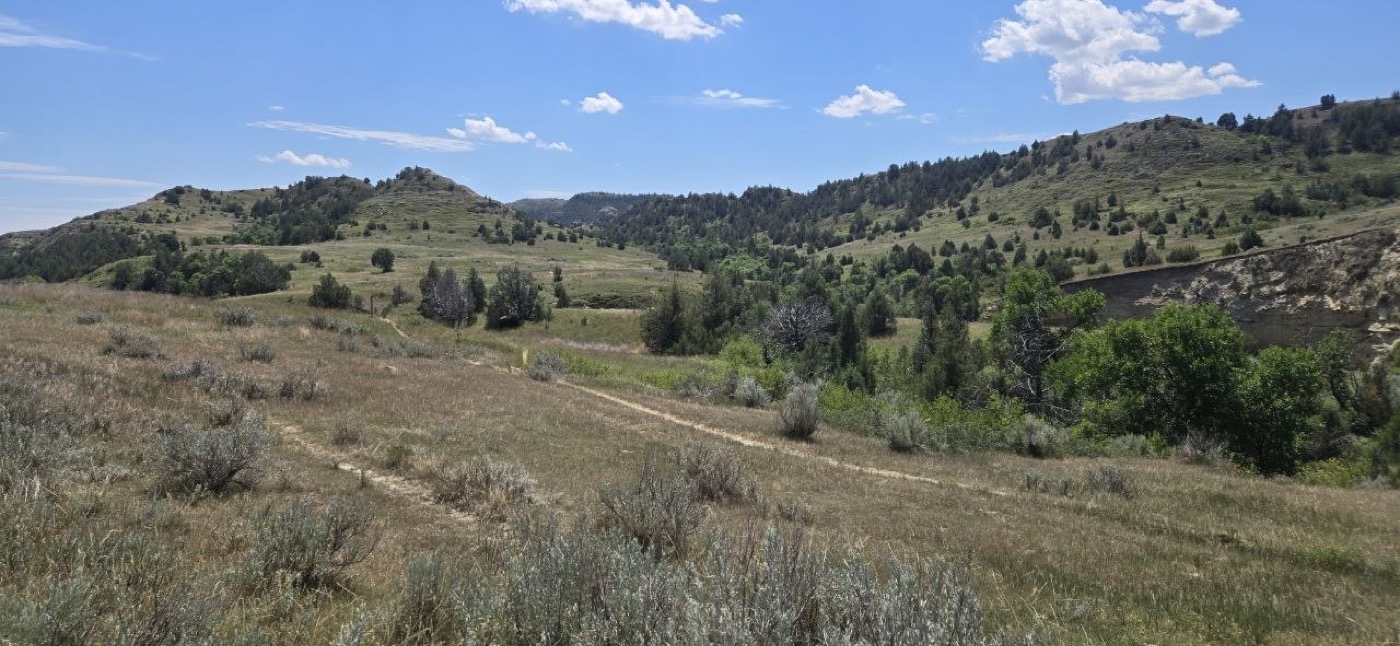 A narrow dirt trail cutting through open grass and sage toward tree-lined hills