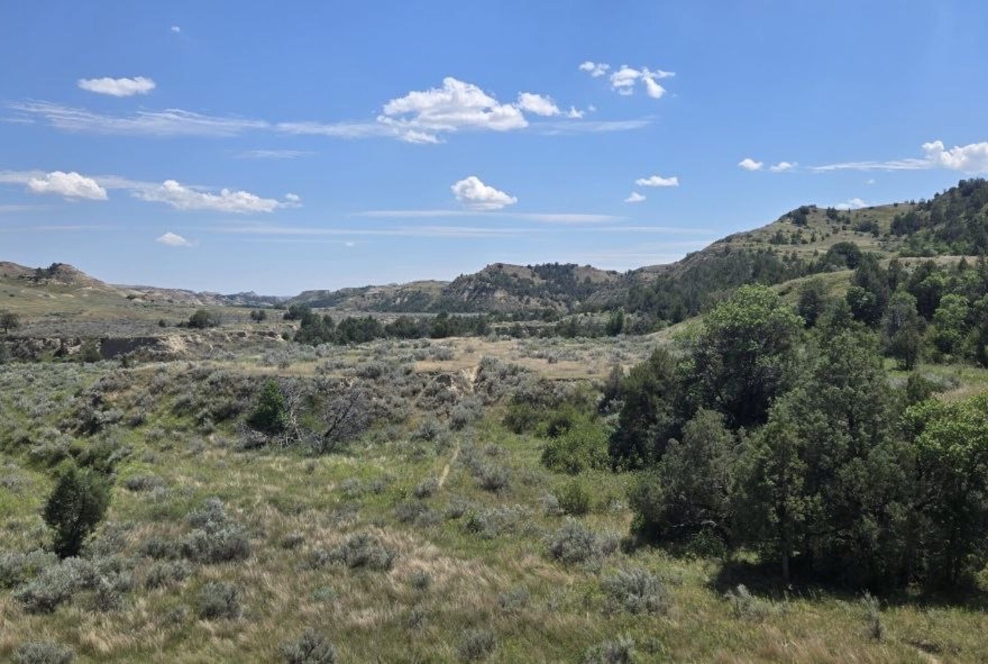 Halliday Well Trailhead: A First-Hand Guide to the South Unit Badlands