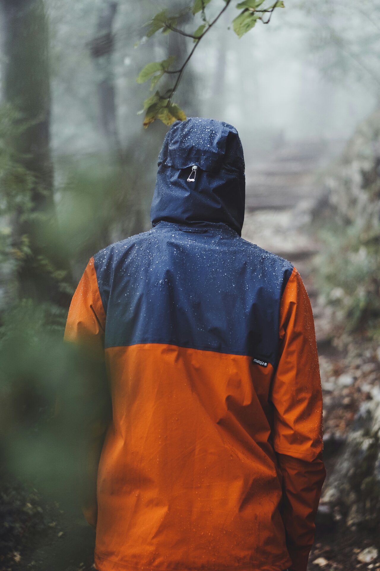 Hardshell vs Softshell Jackets: Which Do You Actually Need?