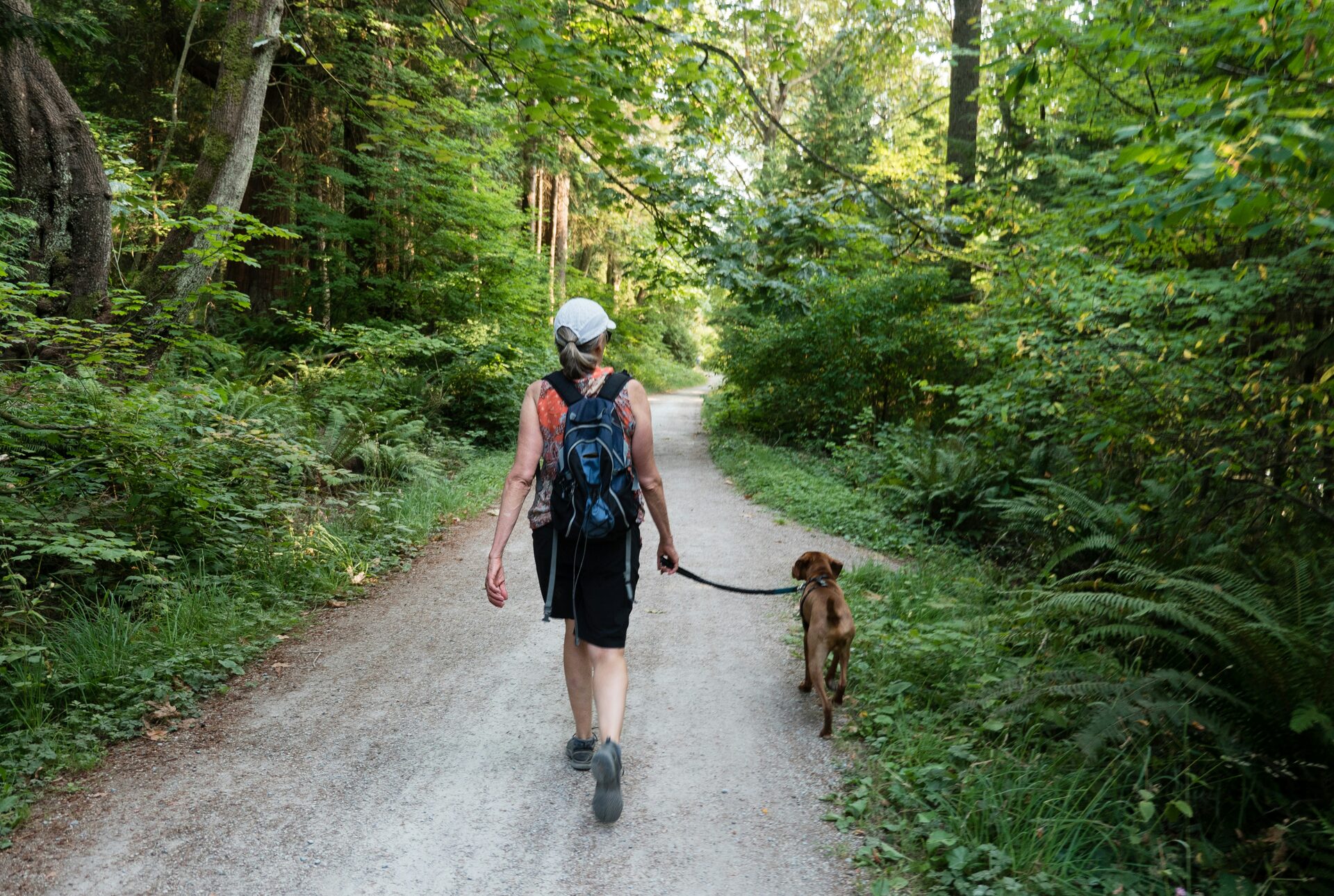 Hiking & Backpacking With Dogs: The Complete Guide