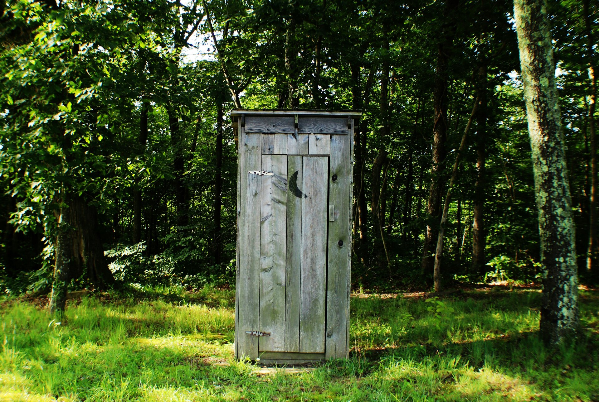 How to Poop in the Woods: The Complete Backcountry Bathroom Guide