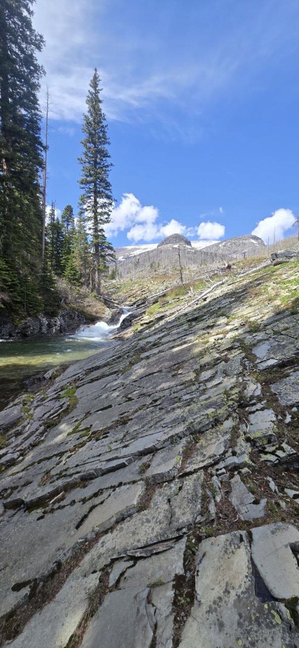 A cascade over layered argillite rock along Rose Creek.