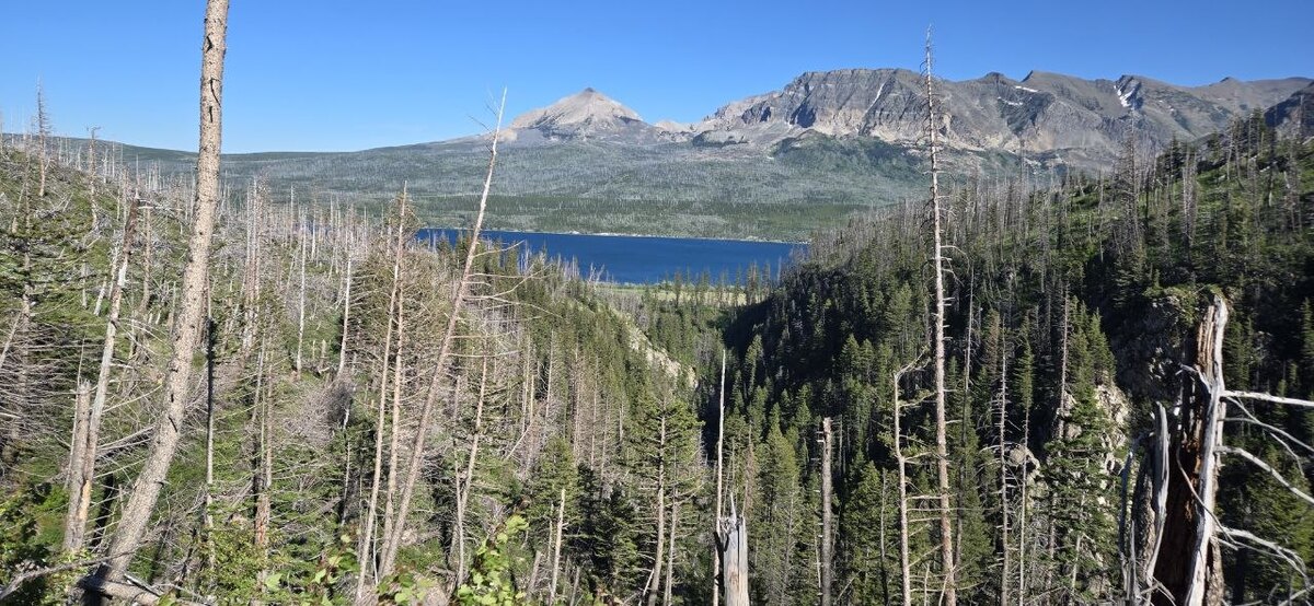 View back down to St. Mary Lake through the burn zone.