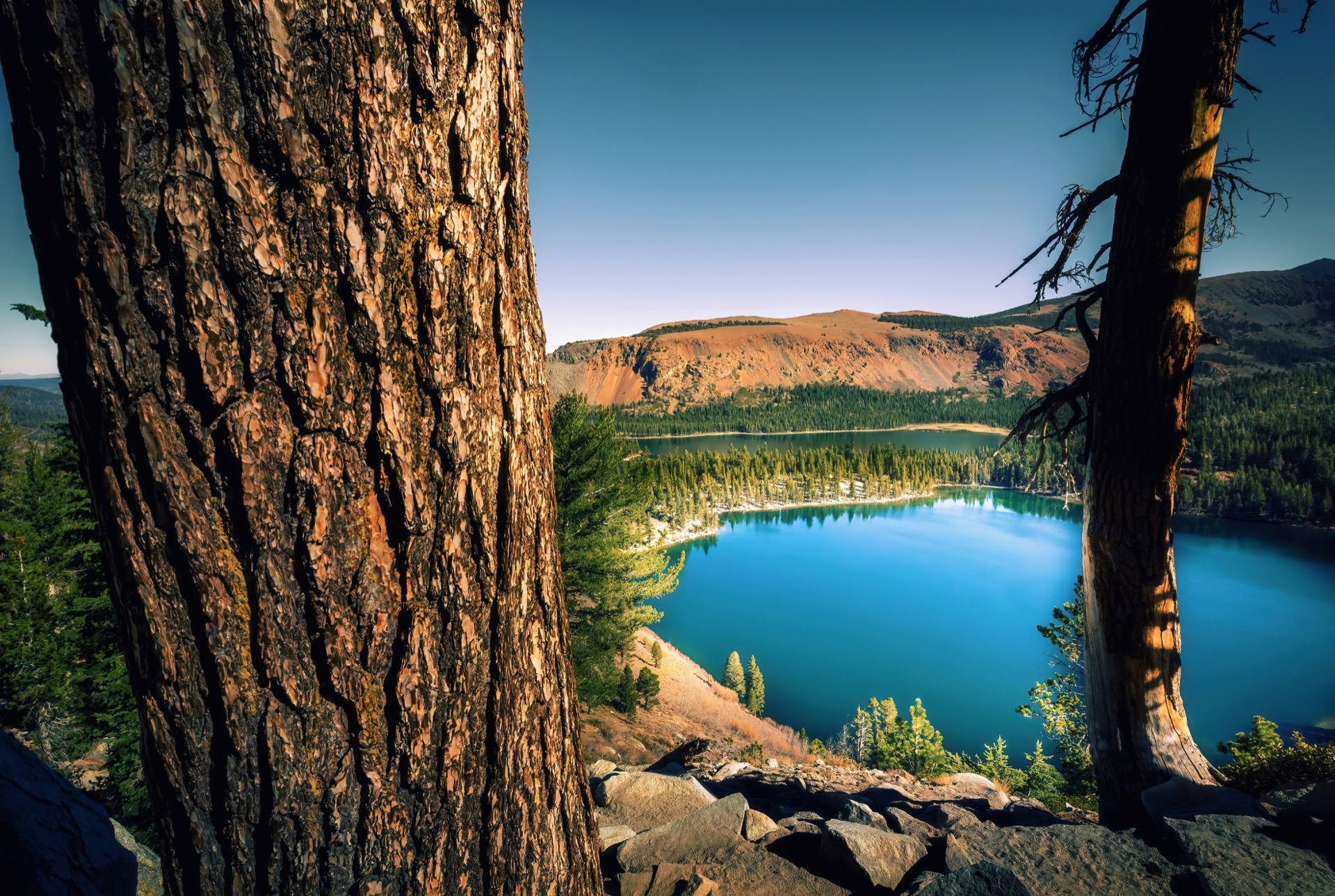 Ozark Highlands Trail — A 3-Day Midwest Backpacking Gem