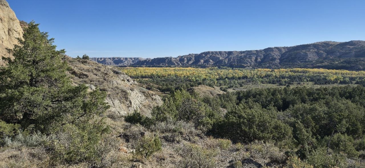 A wide overlook of the river valley, fall-colored cottonwoods below the badlands cliffs.
