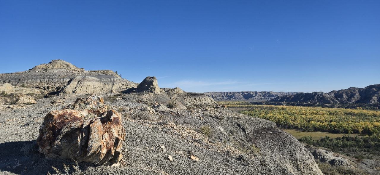 A large petrified tree stump on a rocky overlook, with the river valley and badlands cliffs in the background.