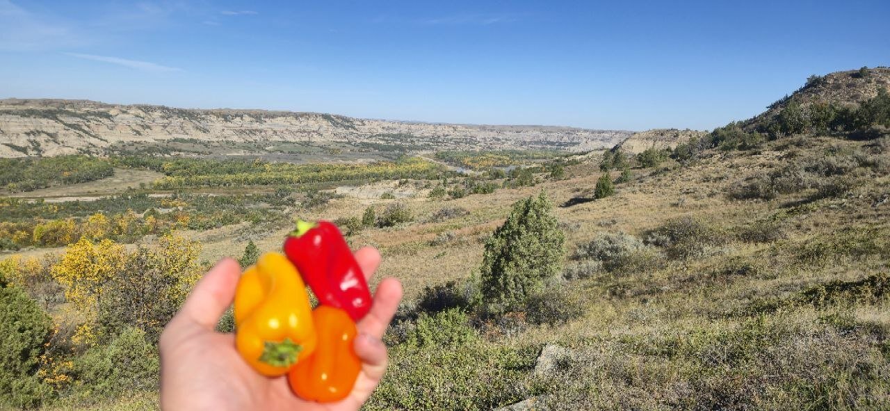 Fresh bell peppers held up against the badlands valley view, a trail snack break on South Achenbach.