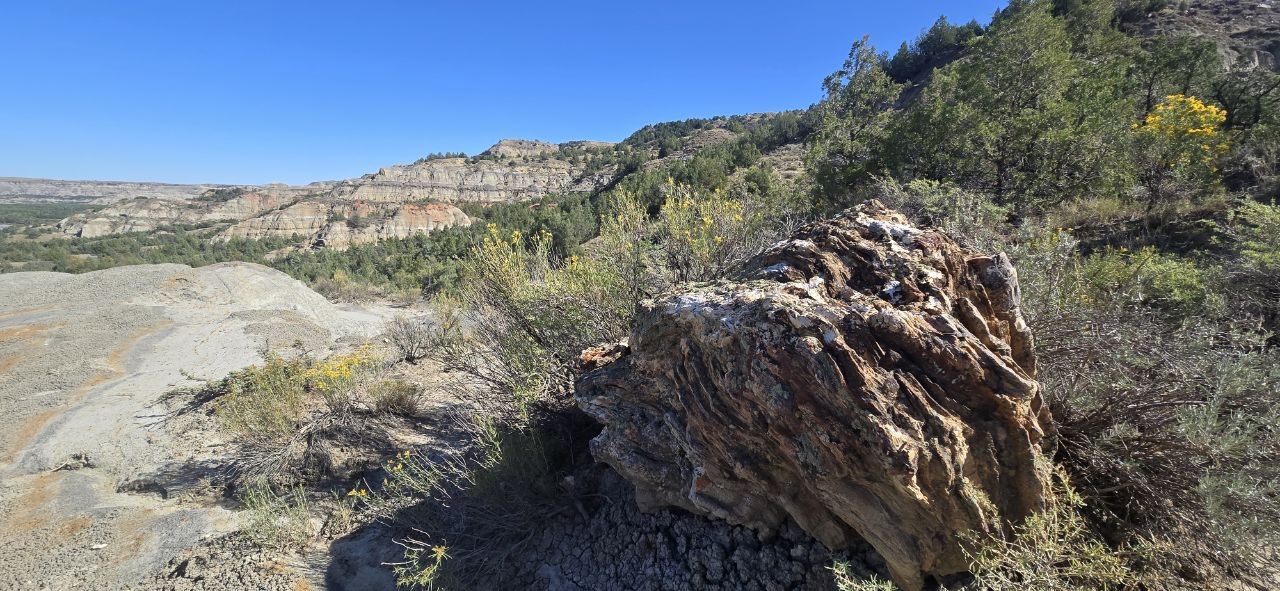 A large piece of petrified wood on a badlands hillside, with layered rock formations in the background.