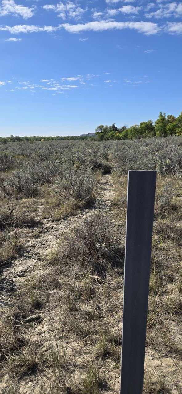 A single trail marker post standing in a sagebrush flat, with only a faint footpath visible on the ground.