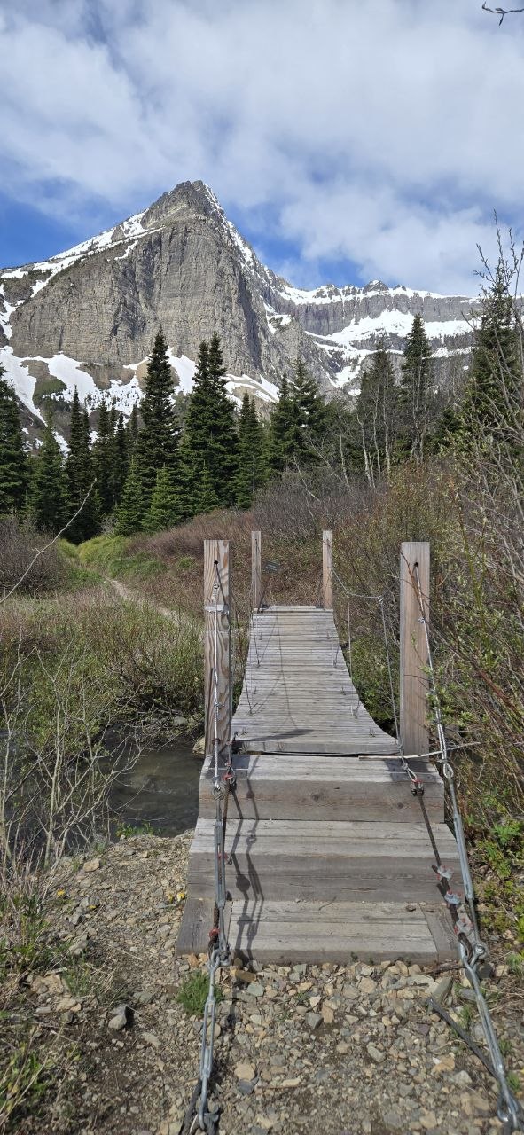A wooden plank footbridge over a stream on the lower Swiftcurrent trail beneath a dramatic peak