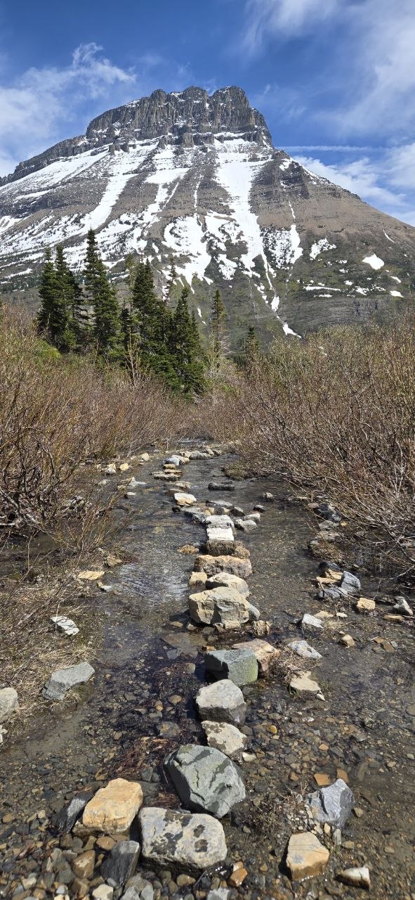 Stepping stones crossing a clear snowmelt stream on the lower Swiftcurrent Pass trail, with a snow-streaked peak ahead