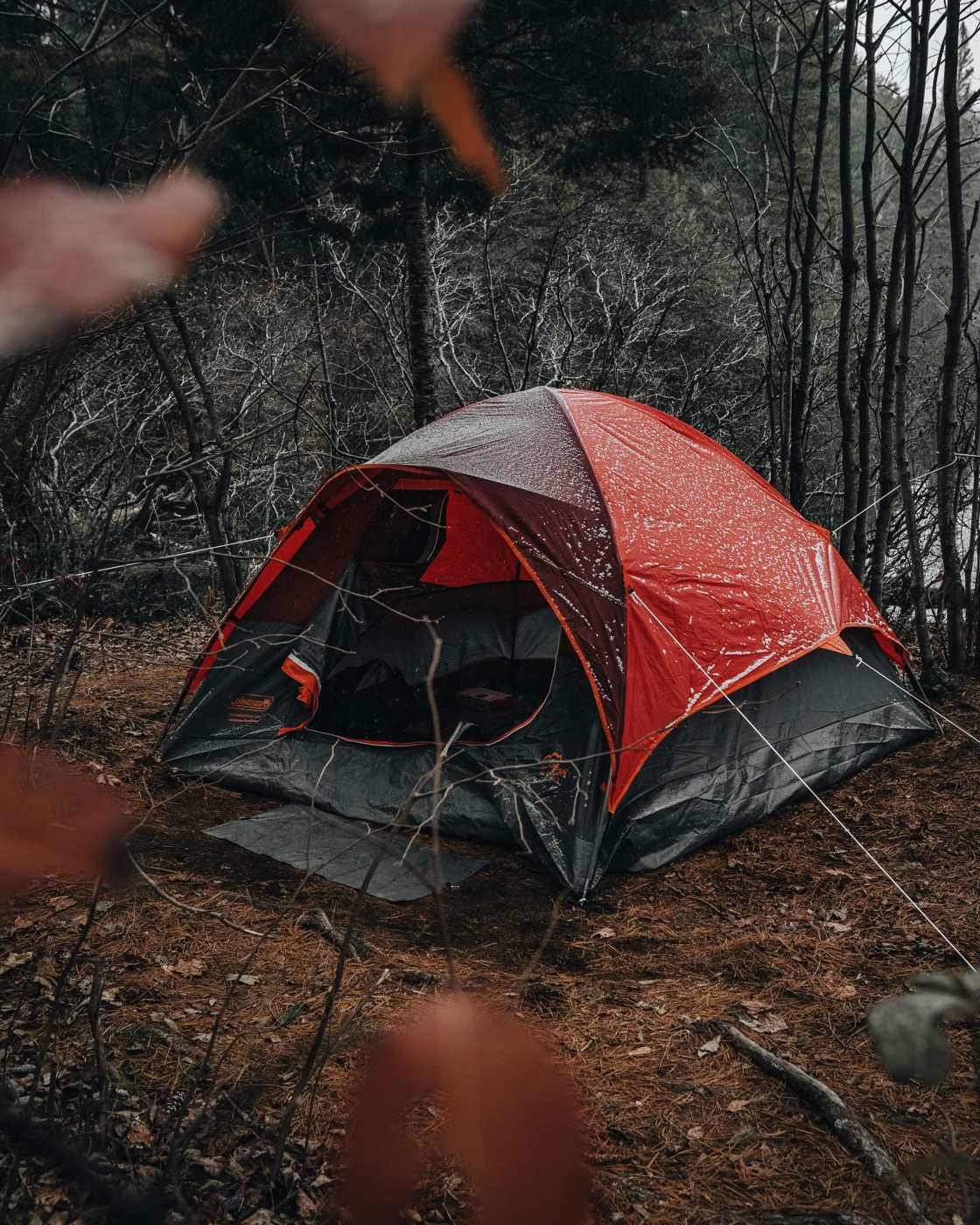 A snow-dusted red and gray Coleman Sundome tent pitched in a wet forest