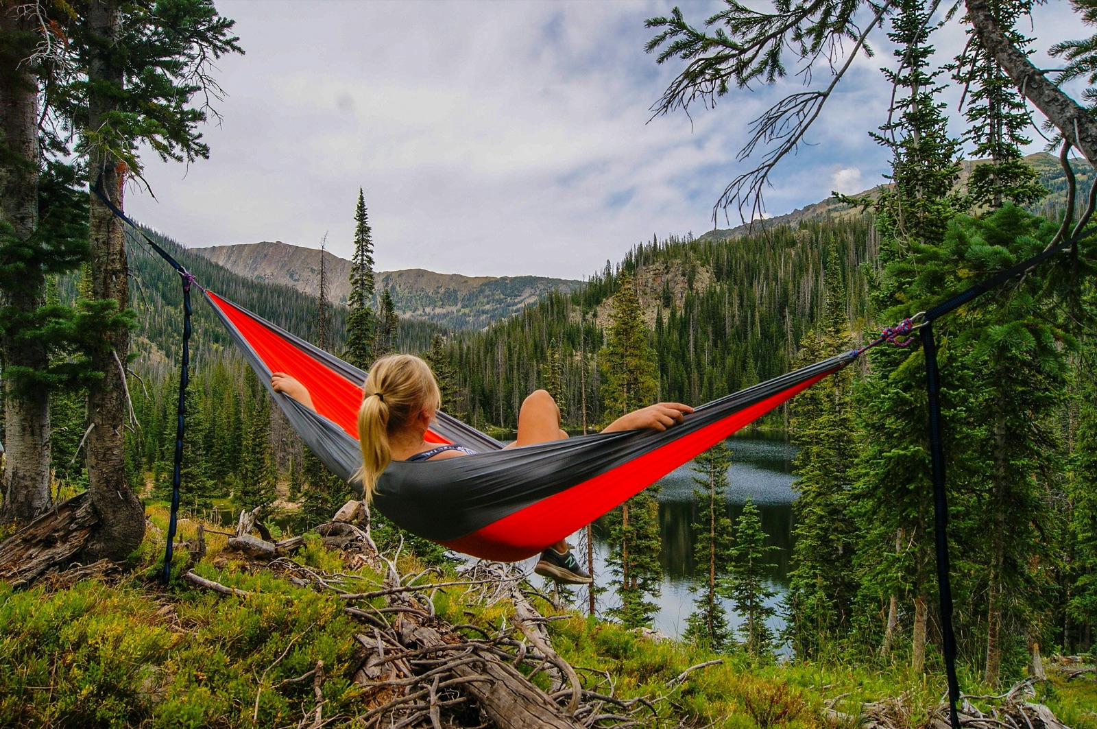 Tent vs Tarp vs Hammock: Which Backpacking Shelter Is Right for You?