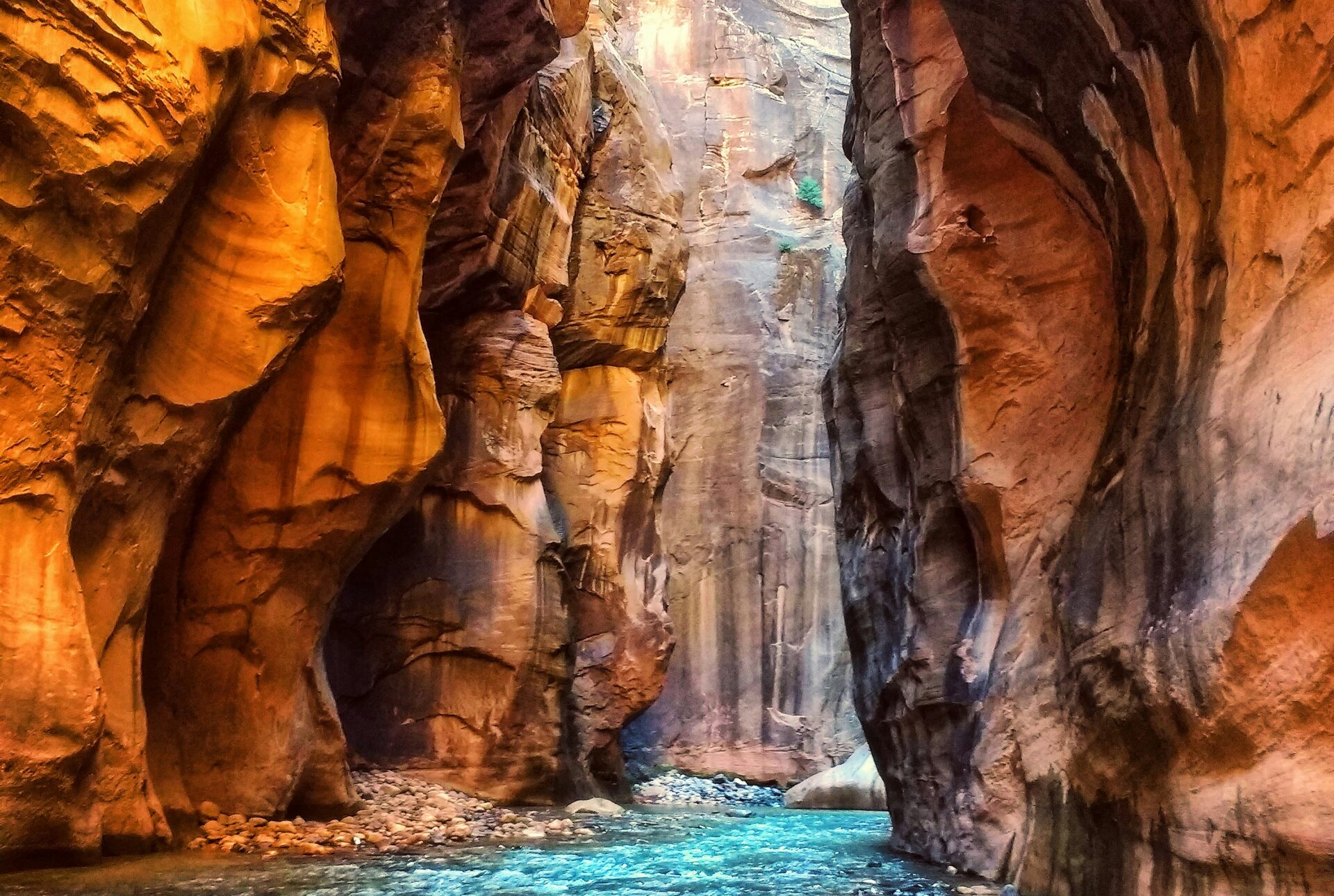 Hiking The Narrows in Zion: The Complete Guide