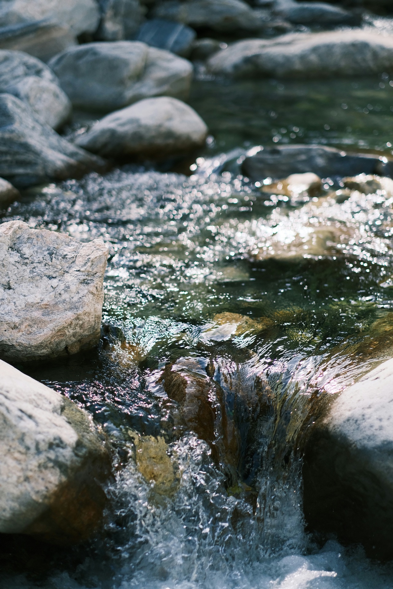 Katadyn BeFree 1L Water Filter Review — Fastest-Flowing Ultralight Filter
