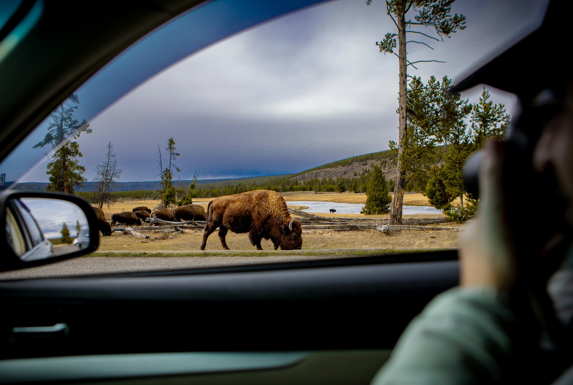 How to Watch Wildlife Safely: Keep Your Distance, Observe, Don't Approach